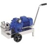 Bomba de impulsor para bombear puré con frutos rojos LIVERANI VA MINOR 40 NR TF 1,5kW, 175-900rpm, 380V con variador, sobre carro