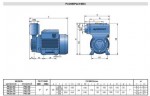 Wirbelpumpe PKSm 65