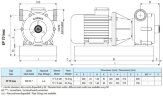 Pompe vortex pour le pompage de solvants LIVERANI EP 70 Inox, 500 l/min, TF/M, 5,5 kW, 1400 rpm, 380 V, AISI 316, Seal Widia-SiC-Viton
