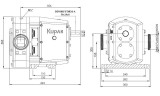 Кулачковый насос Kupar KLP 2 1/2 дюйма, AISI 316 для клея, чернил, краски, мазута