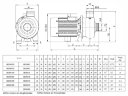Bomba centrífuga BB300/110D, AISI304, 220V/50Hz, 2900
