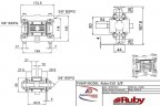 Pompe à membrane pneumatique RUBY 010S-P-NTSS-T