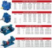 Vane rotary vane pump for solvents VANE PUMP YB-50 2 in. 300 l/min, 640 rpm without motor