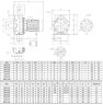 Насос из нержавеющей стали NX32/300 (160), 2,2 кВт, 20 м3/ч, 37м, 380V/T, AISI 304 (EBARA 3M 32-160/2,2)