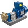Вихревой насос для морского сектора LIVERANI GR ADPE SPECIAL 20, 29 л/мин, TF 0,25 кВт, 2800 об/мин, 380В, Ex, бронза