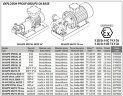 Вихревой насос для морского сектора LIVERANI GR ADPE SPECIAL 20, 29 л/мин, TF 0,25 кВт, 2800 об/мин, 380В, Ex, бронза