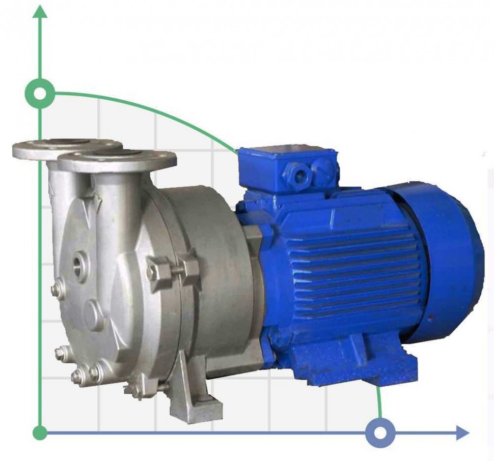 2BV5110, pompe à vide AISI 316 pour gaz corrosifs