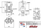Pompe à membrane pneumatique RUBY 050S-P-TST-T