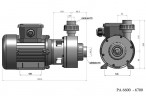 Pompe chimique en polypropylène DiaPump PA-6700 (2,2 kW)