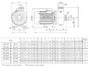 Pompa do mycia warzyw, owoców, mięsa, ryb BK150D, 1.1kW, AISI304, 220V/50Hz, 2900 z otwartym wirnikiem