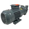 2BV2061, bomba de vacío AISI 316 para evaporadores