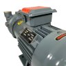 2BV2061, bomba de vacío AISI 316 para evaporadores
