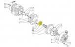 Flange PVDF seals for pumps MB 150/160/180 (TS)