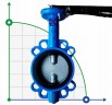 PN16 DN50 Butterfly valve, cast iron body, AISI 316 disc, Seat EPDM