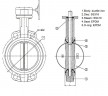 PN16 DN50 Butterfly valve, cast iron body, AISI 316 disc, Seat EPDM