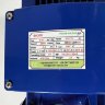Pompa BK300 do kadzi zaciernej, brzeczki BK300, 2,2kW, AISI304, 380V/50Hz, 2900 z otwartym wirnikiem
