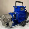 Bomba de engranajes de acero inoxidable para bombeo de líquidos químicos WCB-50/380V 50Hz, 50 l/min, 30 m, AISI 304, 0,55 kW, 2900 rpm, Ex