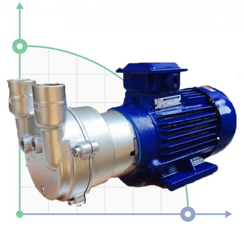2BV2071, bomba de vacío AISI 316 para gases corrosivos