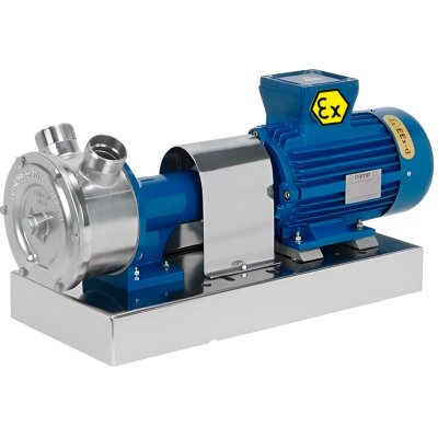 Bomba Vortex para trasvase de salmuera LIVERANI GR ADPE SPECIAL MASTER 2, 230 l/min, TF 1,5 kW, 1400 rpm, 380V, Ex, AISI 316
