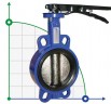 PN16 DN50 Butterfly valve, cast iron body and disc, Seat EPDM