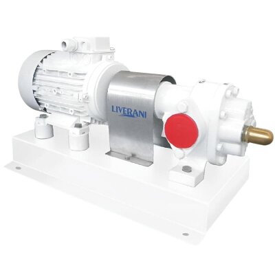 Gear pump for pumping soybean oil LIVERANI GEAR BASE 100-G TF 2.2 kW, 1400 rpm, 380 V