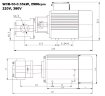 Bomba de engranajes de acero inoxidable para trasvase de aceite WCB-50/220V 50Hz, 50 l/min, 30 m, AISI 304, 0,55 kW, 2900 rpm, Ex