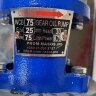 Bomba de engranajes de acero inoxidable para bombeo de aceite vegetal WCB-75/220V 50Hz, 75 l/min, 30 m, AISI 304, 0,75 kW, 2900 rpm, Ex