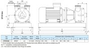 Bomba de anillo líquido para ácido LIVERANI EP 80 Inox +BY-PASS, 900 l/min, TF/M, 15 kW, 1400 rpm, 380V, AISI 316, Seal Widia-SiC-Viton