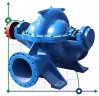 Zweiflutige Pumpe mit geteiltem Gehäuse 1D315-71, 3000, ohne Motor
