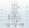 IHG BGLHB 50-160(I) (25/32), 4kW, 2880, Ex - bomba vertical de acero inoxidable