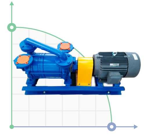 DLV-180 AISI316 Wasserring-Vakuumpumpe (mit Motor)