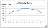 Целлюлаза - комплекс ферментов для снижения вязкости GrainzymeNL, кг