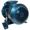 Drying vacuum pump ESV 115/30, 25 m3/h, 0.75 kW, 3000 rpm