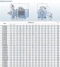 Monoblockpumpe für nicht-aggressive Flüssigkeiten BST 100-315/110, 3000