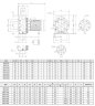 Stainless steel pump for water supply NX65/750 (125), 5.5 kW, 126 m3/h, 27m, 380V/T, AISI 304 (EBARA 3M 65-125/5.5)