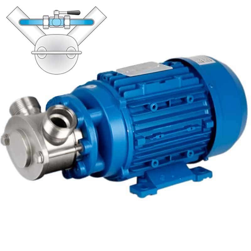 Pompe à impulseur pour du moût de raisin LIVERANI EP MINI 3/4" +BY-PASS CC 24V/M 0,3kW/16A, 1400tr/min