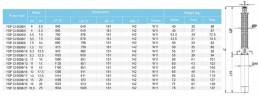 Скважинный насос YSP CI 6006/8, 7,5kW, 380V