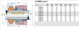 Joint d'étanchéité mécanique à soufflet en PTFE pour pompe R-WB2T 60, SiC/SiC, PTFE, 304