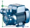 Vortex Pumpe Pedrollo PQm 300