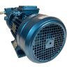 Водокольцевой вакуумный насос ESV 150/50, 110 м3/ч, 3 кВт, 3000 об/мин