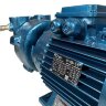 Водокольцевой вакуумный насос ESV 150/50, 110 м3/ч, 3 кВт, 3000 об/мин