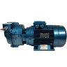 Водокольцевой вакуумный насос ESV 150/50, 110 м3/ч, 3 кВт, 3000 об/мин