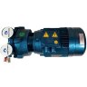Водокольцевой вакуумный насос ESV 150/50, 110 м3/ч, 3 кВт, 3000 об/мин