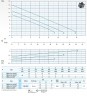 Дренажний насос для стічних вод Dreno DNA 65-2/110 M з вихровим робочим колесом