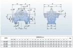 BSC 125-365A/B, (3000) Pumpe zweispaltige