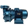 Pompe à vide à anneau d'eau ESV 210/80, 145 m3/h, 4,0 kW, 1450 tr/min
