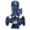IRG BGL 65-125A (22,3/16), 2,2kW, 2880 насос центробежный вертикальный