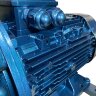 Vakuum-Wasserringpumpe ESV 220/90, 195 m3/h, 5,5 kW, 1450 U/min