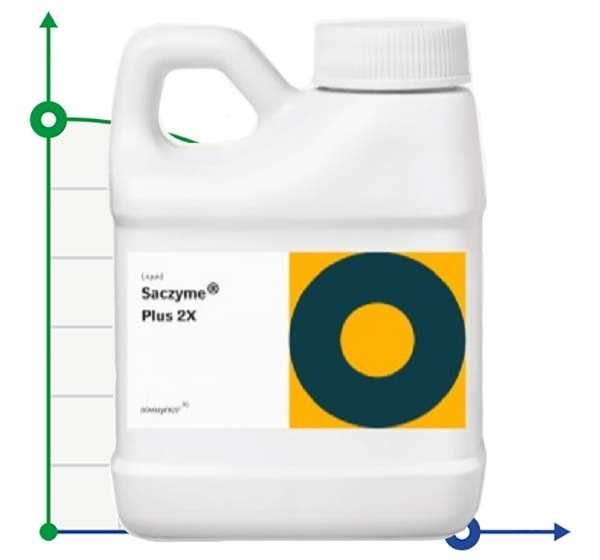Сахзайм® Плюс 2X (Saczyme® Plus 2X) глюкоамилаза