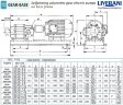 Gear pump for grease transfer LIVERANI GEAR BASE 600-G TF 11 kW, 1400 rpm, 380 V